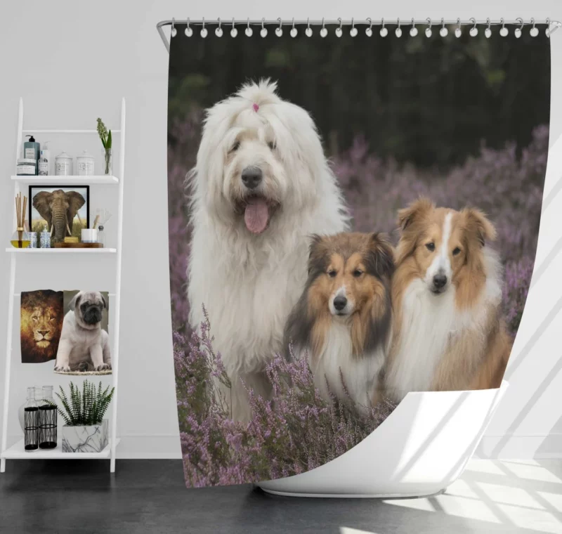 Dog Among Lavender Tranquil Canine Shower Curtain