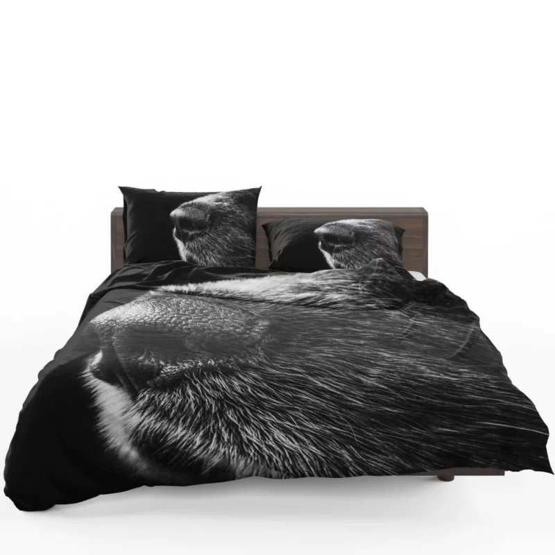 Dog Captivating Macro Black & White Beauty Bedding Set