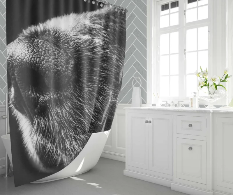 Dog Captivating Macro Black & White Beauty Shower Curtain 1