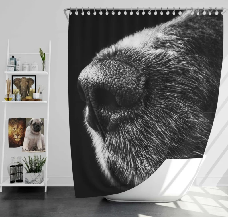 Dog Captivating Macro Black & White Beauty Shower Curtain