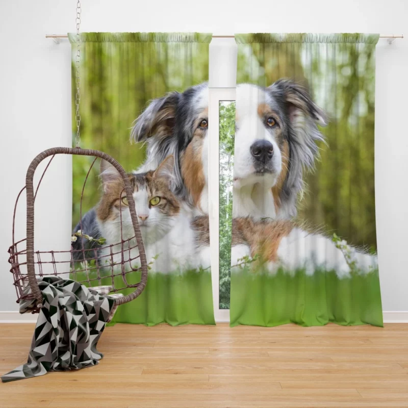 Dog & Cat Duo Furry Companions Curtain