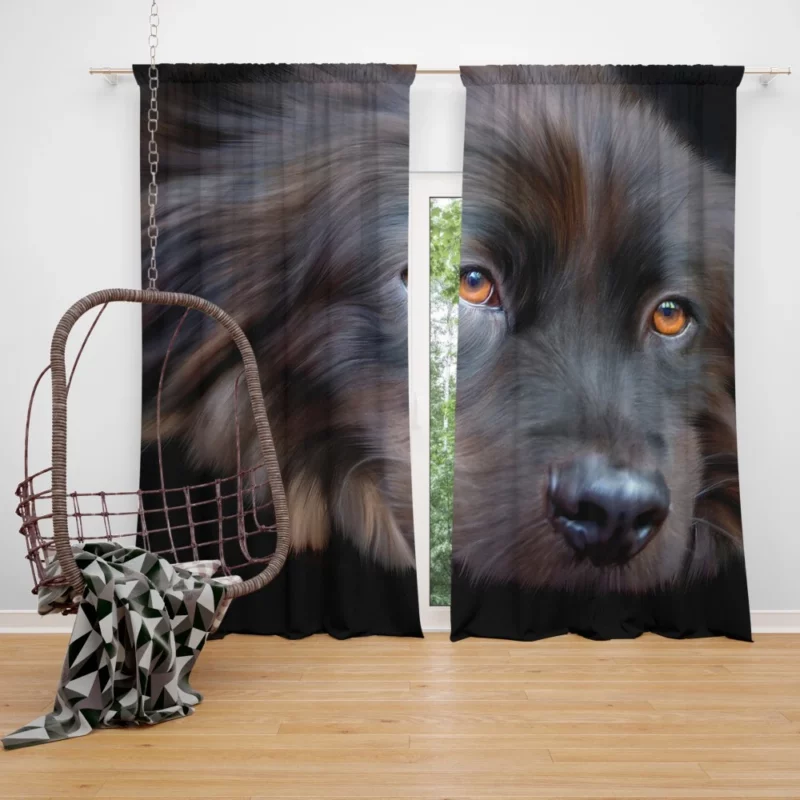 Dog Cute Face Furry Charm Curtain