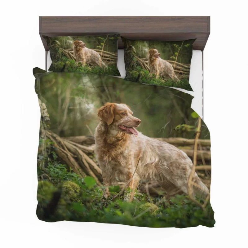 Dog Energetic Nature Canine Joy Bedding Set 1