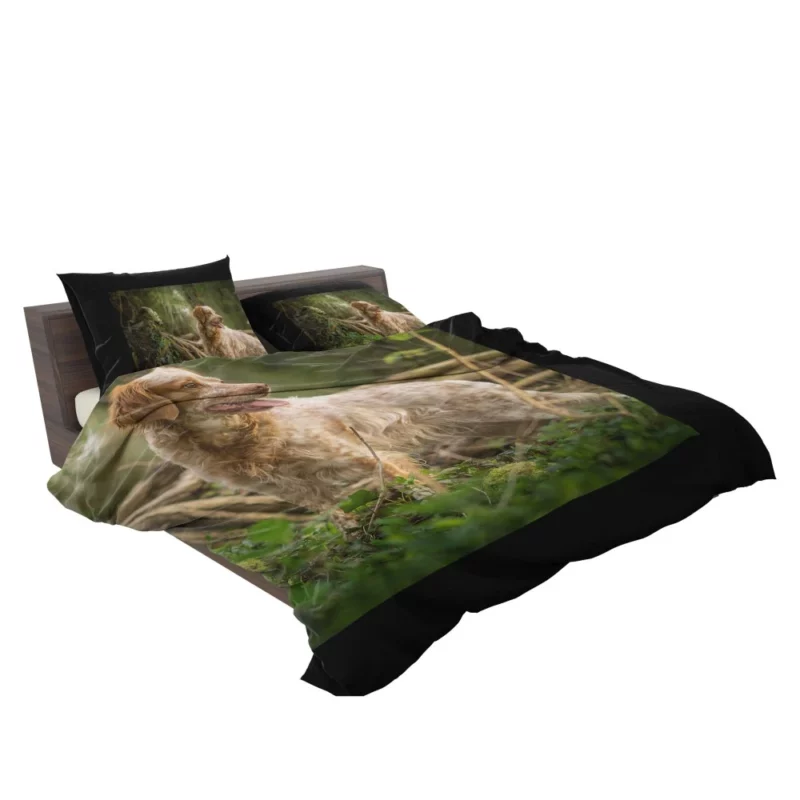 Dog Energetic Nature Canine Joy Bedding Set 2