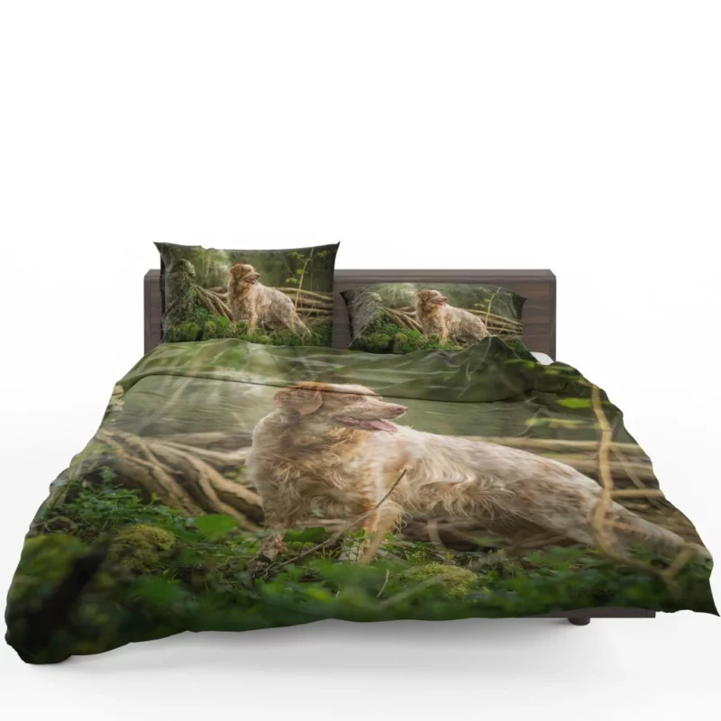 Dog Energetic Nature Canine Joy Bedding Set