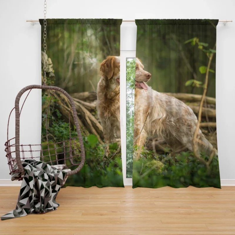 Dog Energetic Nature Canine Joy Curtain