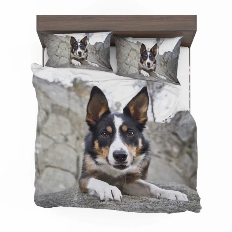 Dog Faithful Gaze Canine Connection Bedding Set 1