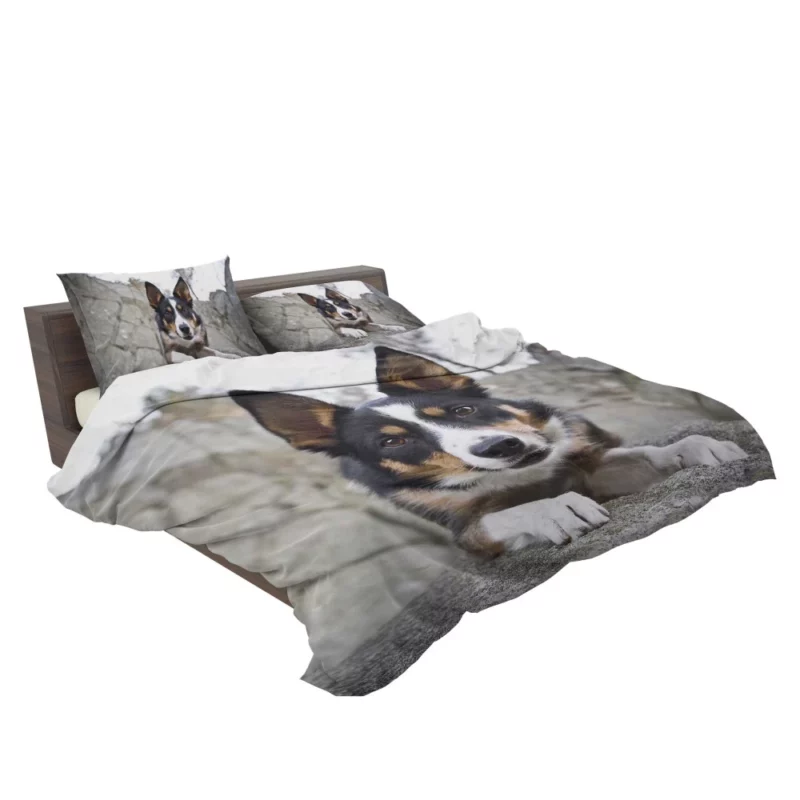 Dog Faithful Gaze Canine Connection Bedding Set 2