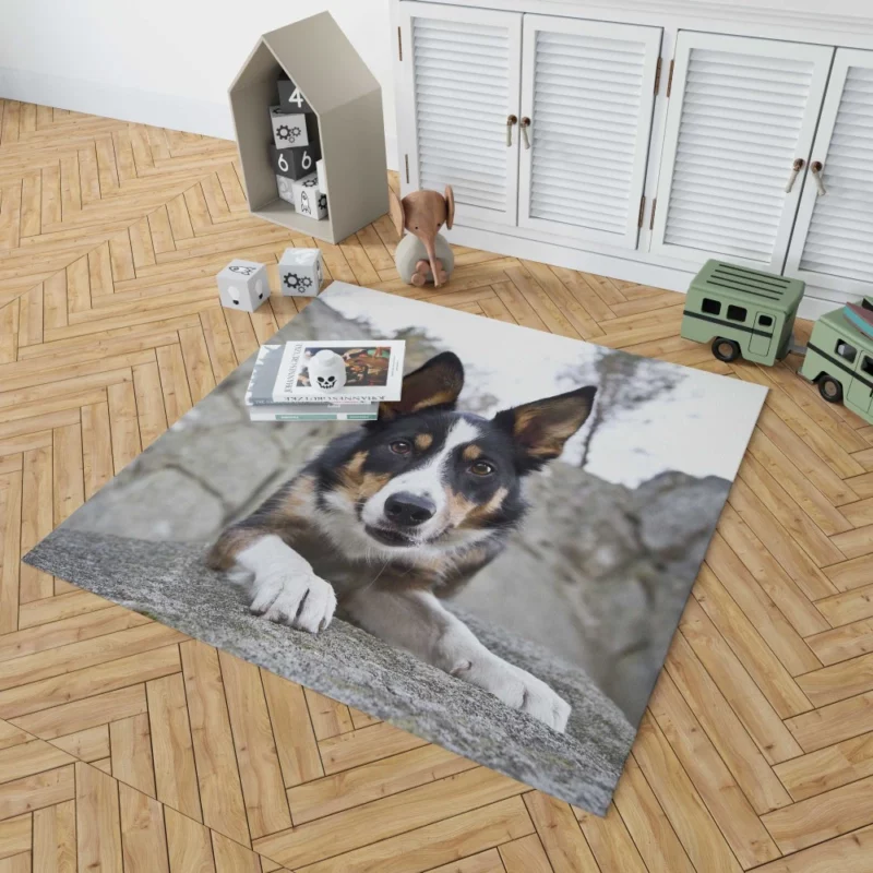 Dog Faithful Gaze Canine Connection Rug 1