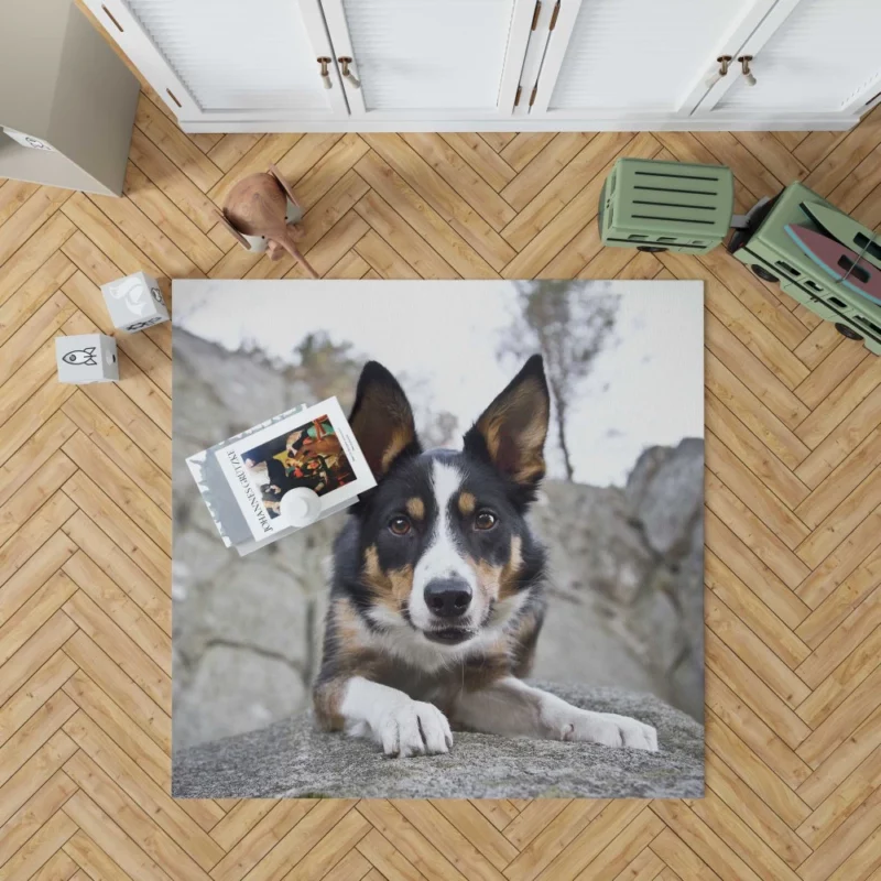 Dog Faithful Gaze Canine Connection Rug