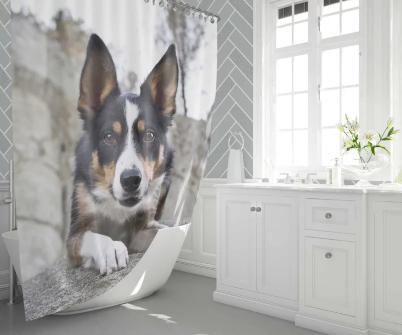 Dog Faithful Gaze Canine Connection Shower Curtain 1