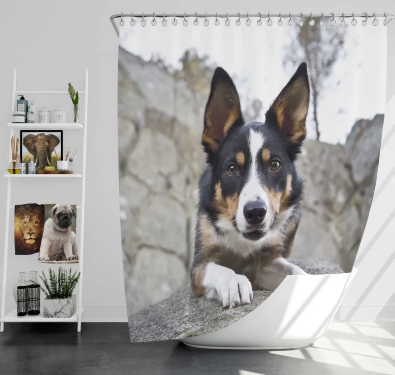 Dog Faithful Gaze Canine Connection Shower Curtain