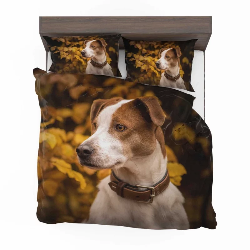 Dog Fall Adventure Furry Antics Bedding Set 1