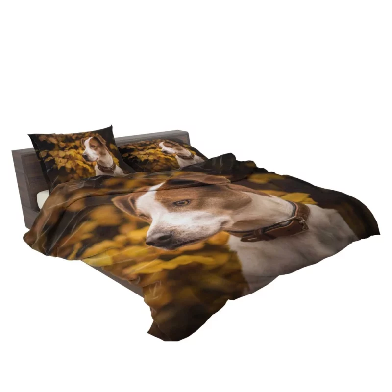 Dog Fall Adventure Furry Antics Bedding Set 2