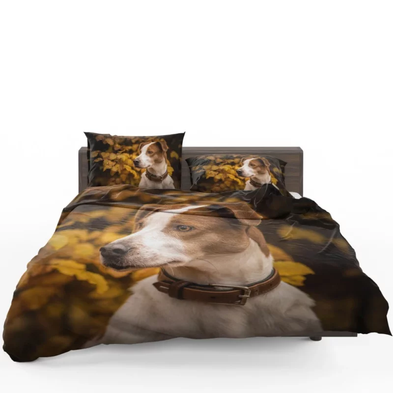 Dog Fall Adventure Furry Antics Bedding Set