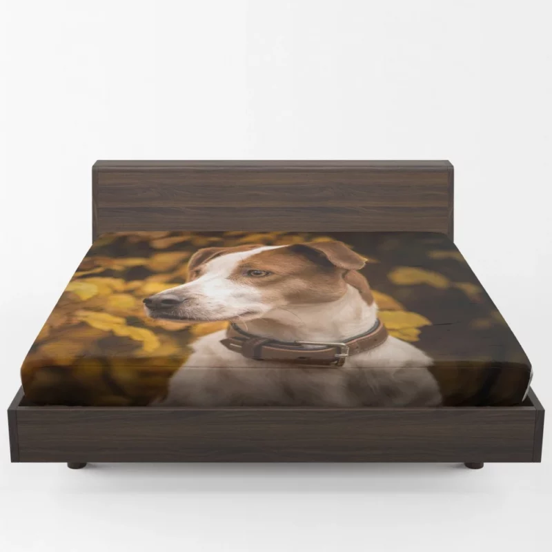 Dog Fall Adventure Furry Antics Fitted Sheet