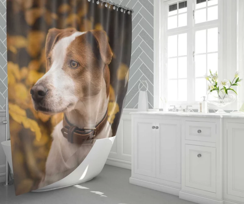 Dog Fall Adventure Furry Antics Shower Curtain 1