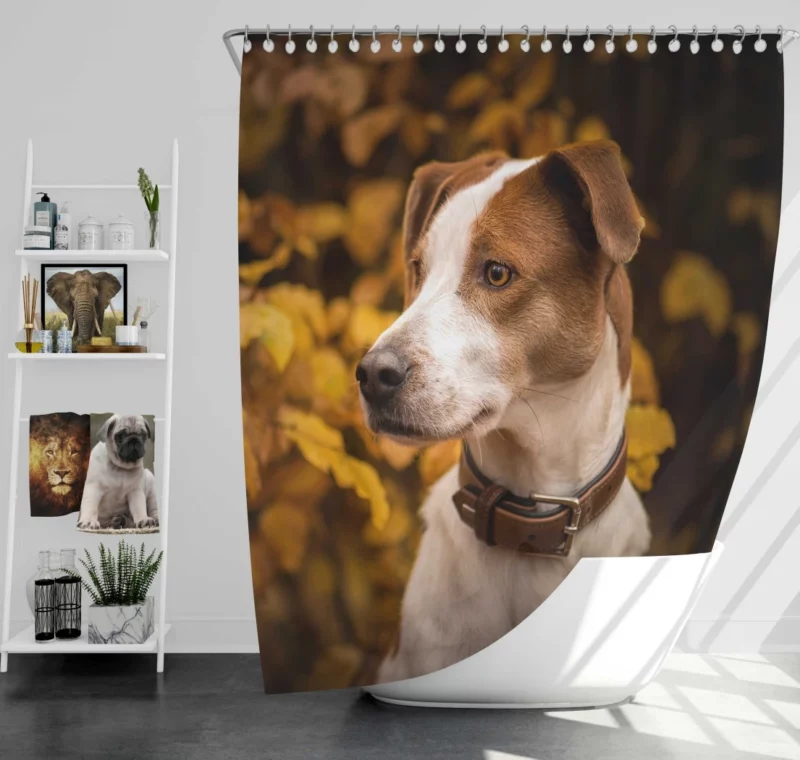 Dog Fall Adventure Furry Antics Shower Curtain