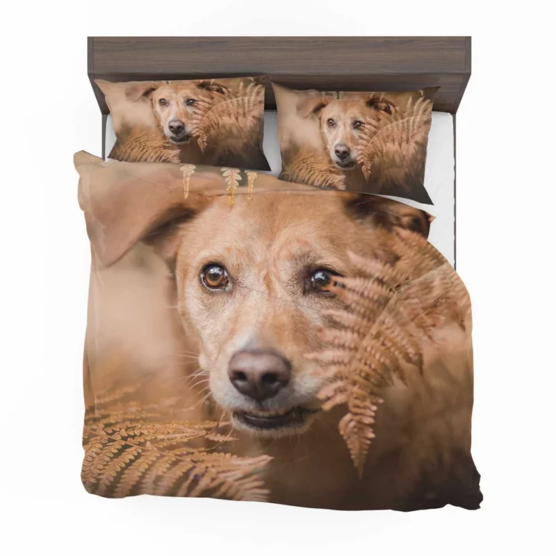 Dog Fern Encounter Bedding Set 1