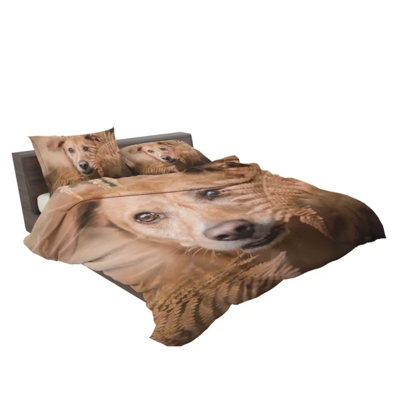 Dog Fern Encounter Bedding Set 2