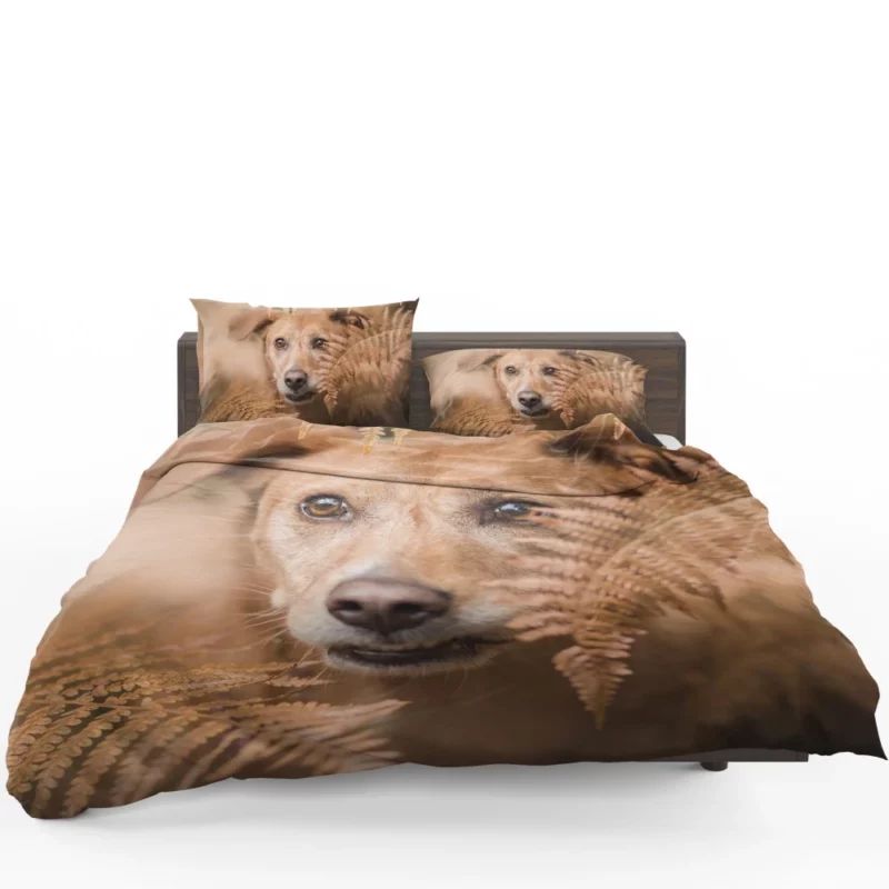 Dog Fern Encounter Bedding Set