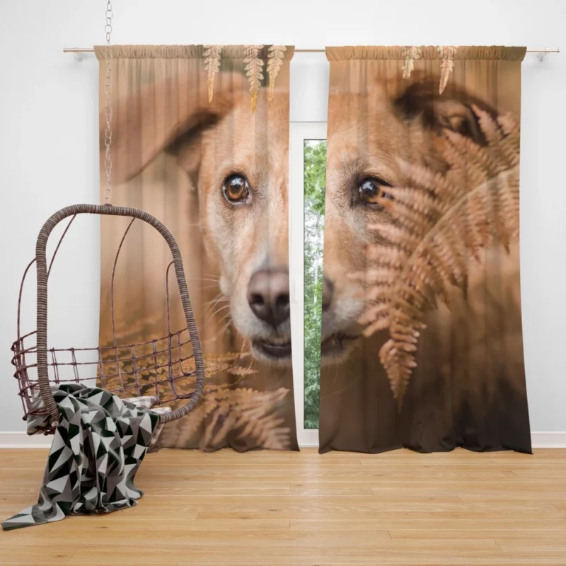 Dog Fern Encounter Curtain