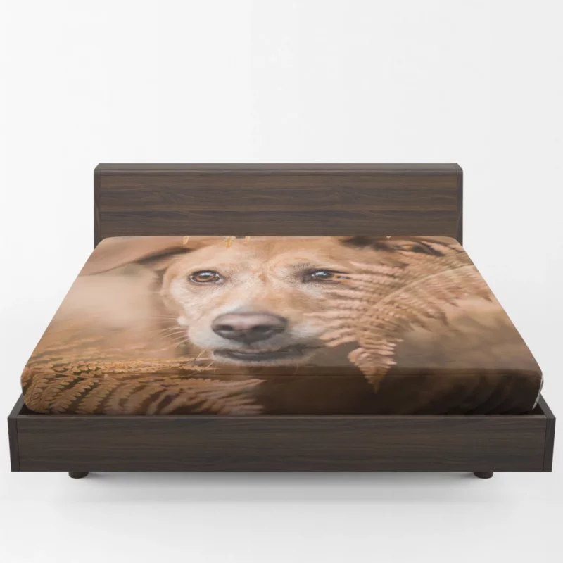 Dog Fern Encounter Fitted Sheet