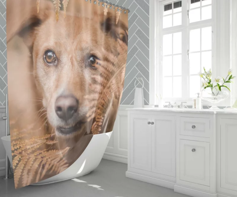 Dog Fern Encounter Shower Curtain 1