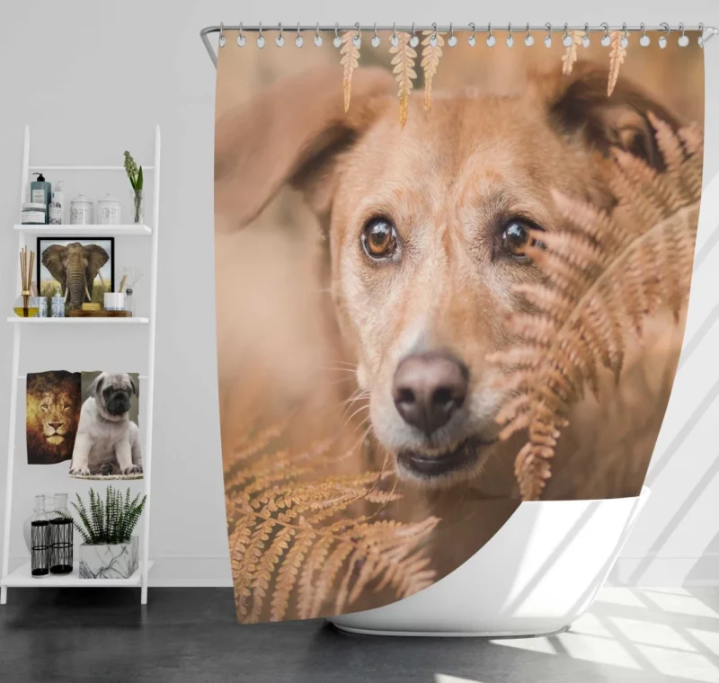 Dog Fern Encounter Shower Curtain