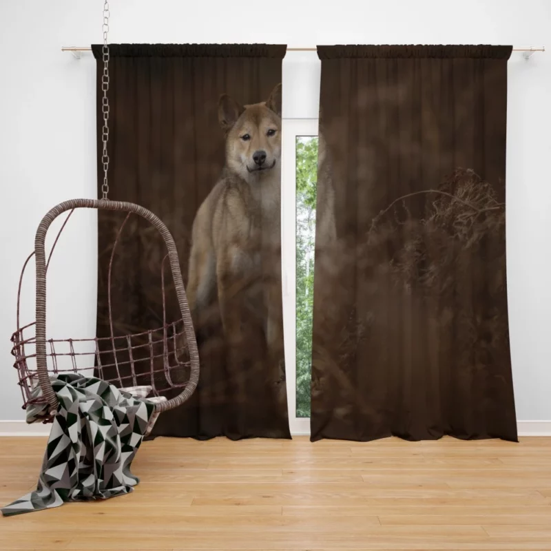 Dog Fern Exploration Curtain