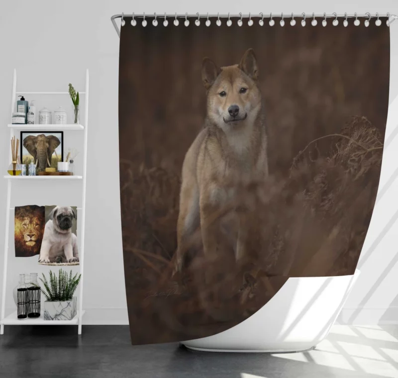 Dog Fern Exploration Shower Curtain