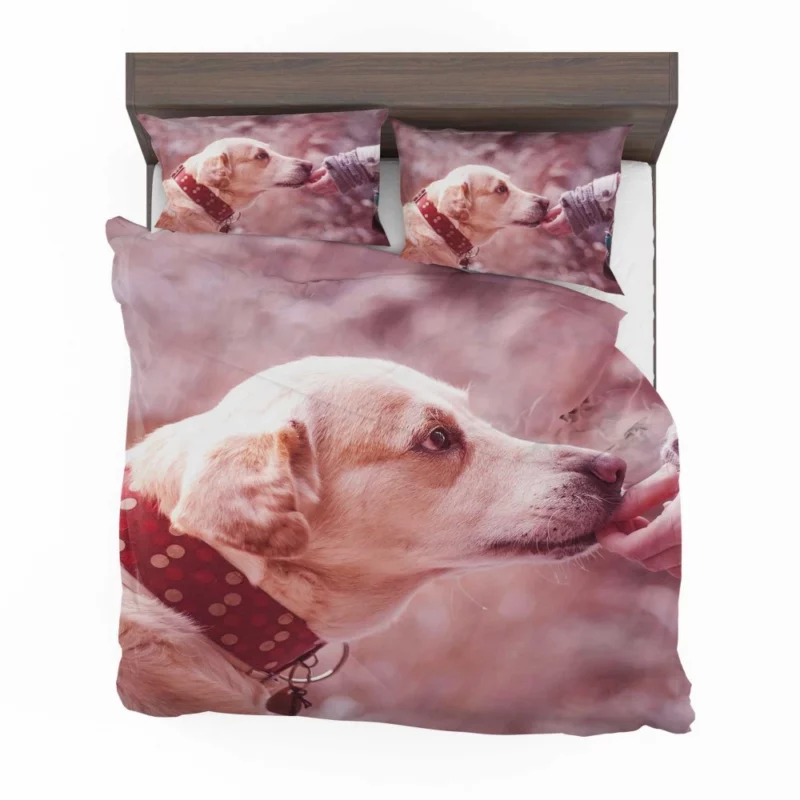 Dog Muzzle Love & Loyalty Bedding Set 1