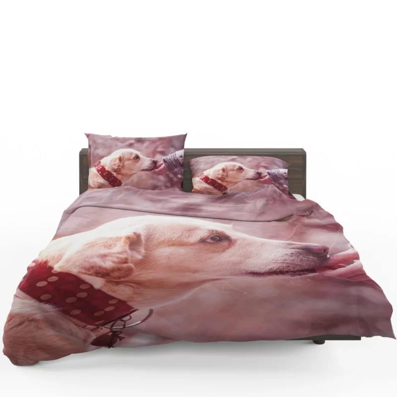 Dog Muzzle Love & Loyalty Bedding Set