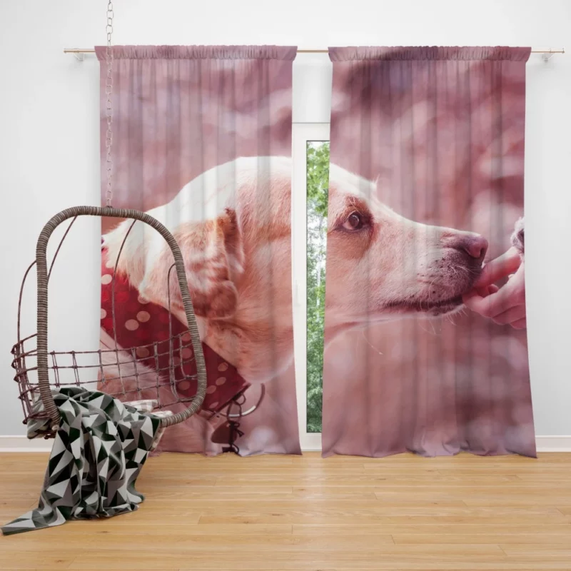 Dog Muzzle Love & Loyalty Curtain