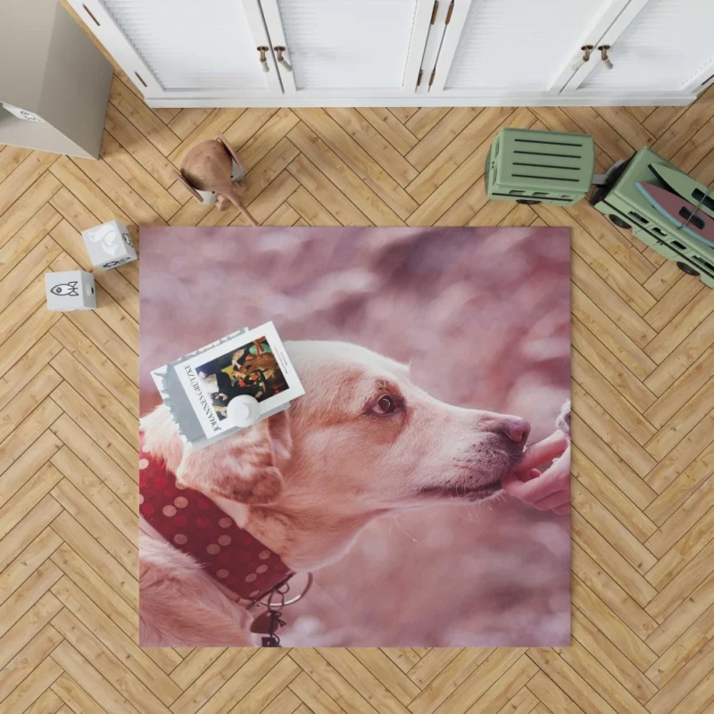 Dog Muzzle Love & Loyalty Rug