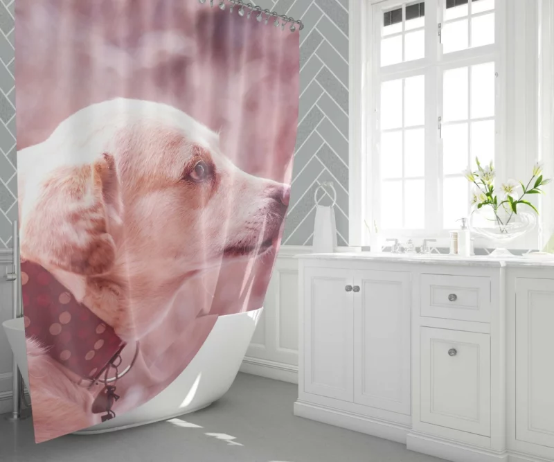 Dog Muzzle Love & Loyalty Shower Curtain 1