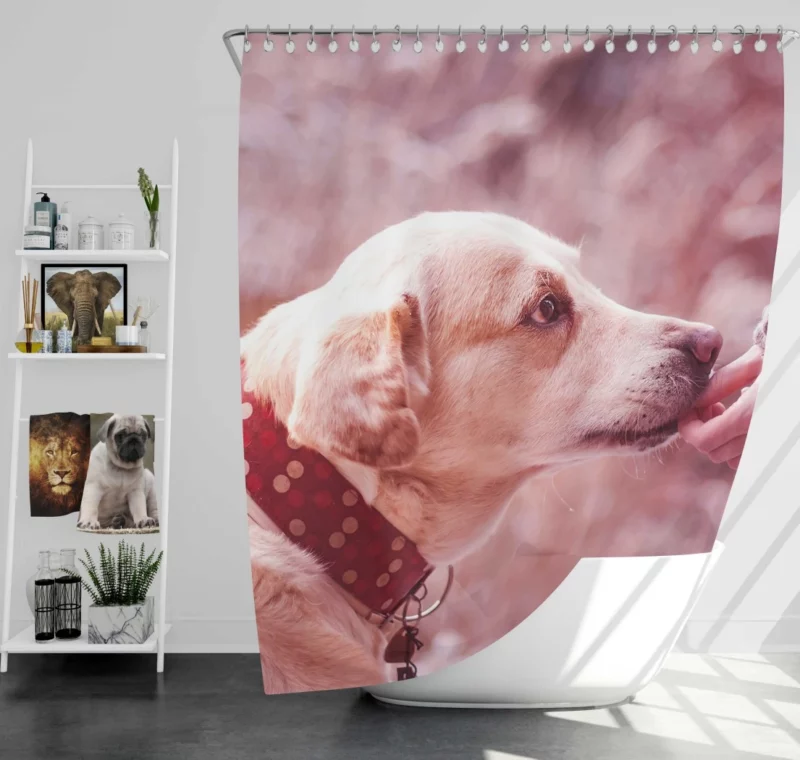 Dog Muzzle Love & Loyalty Shower Curtain