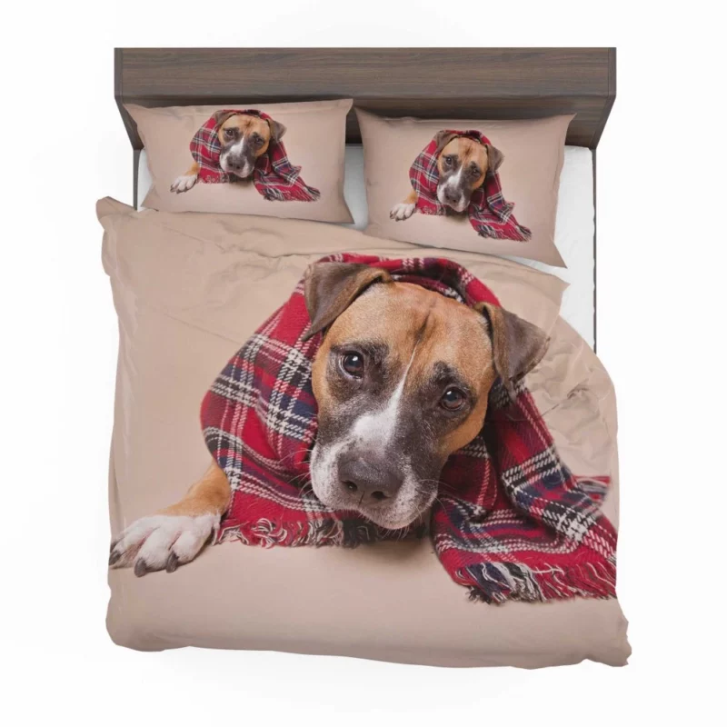 Dog Muzzle and Scarf Stylish Canine Bedding Set 1