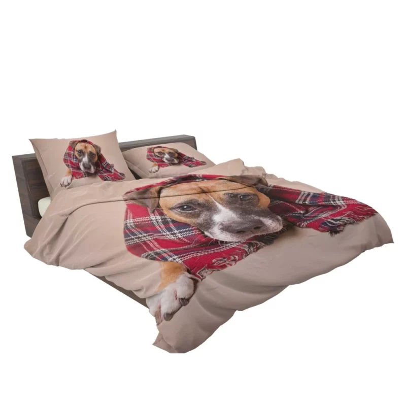 Dog Muzzle and Scarf Stylish Canine Bedding Set 2