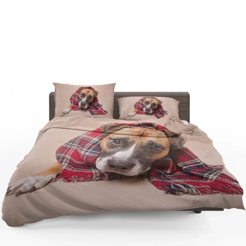 Dog Muzzle and Scarf Stylish Canine Bedding Set