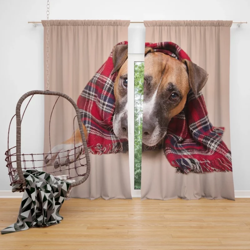 Dog Muzzle and Scarf Stylish Canine Curtain