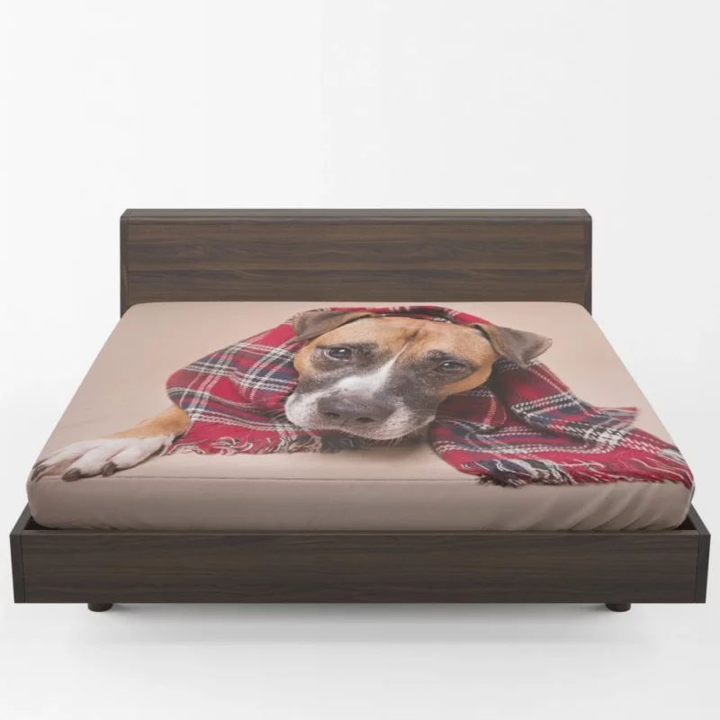 Dog Muzzle and Scarf Stylish Canine Fitted Sheet