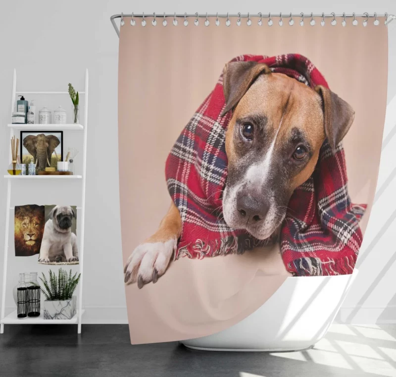 Dog Muzzle and Scarf Stylish Canine Shower Curtain