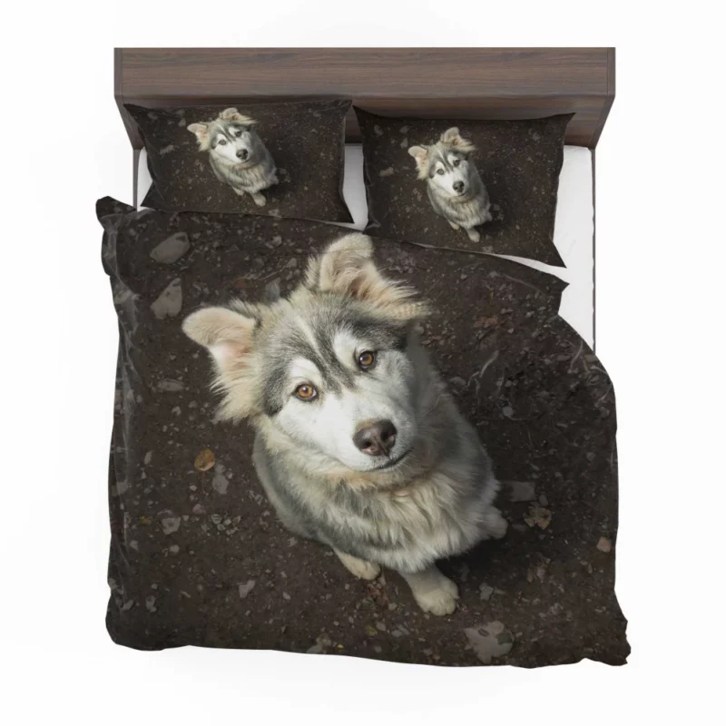 Dog Muzzle in Depth Canine Persona Bedding Set 1