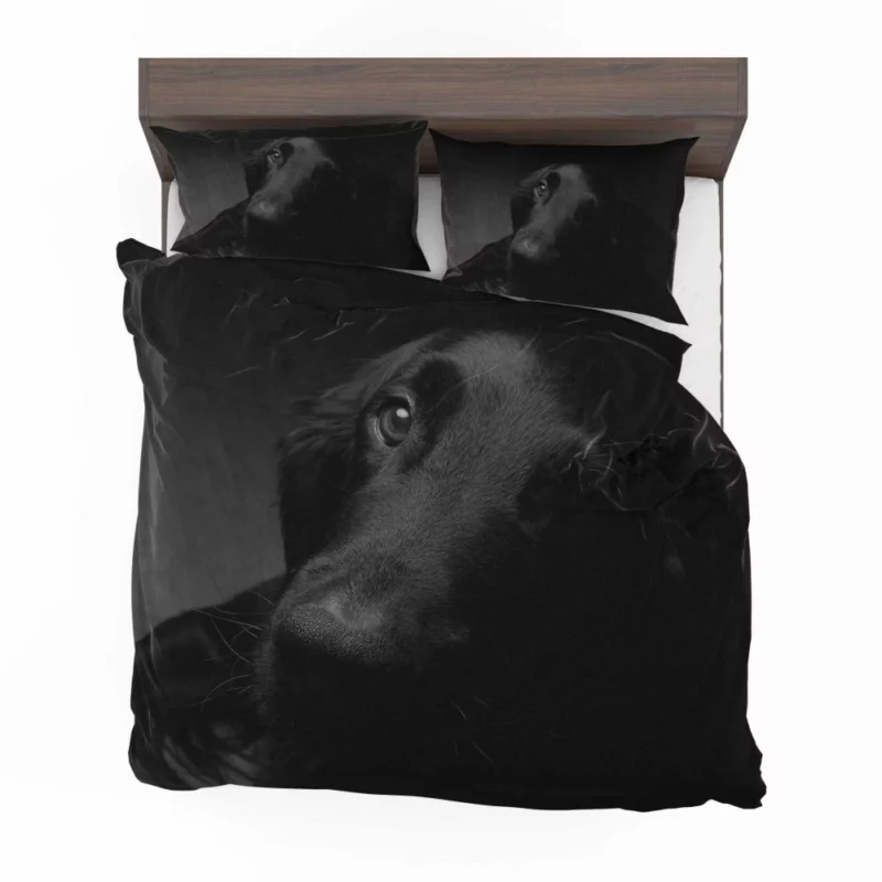 Dog Muzzle in Shadow Canine Persona Bedding Set 1