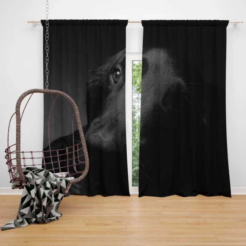 Dog Muzzle in Shadow Canine Persona Curtain