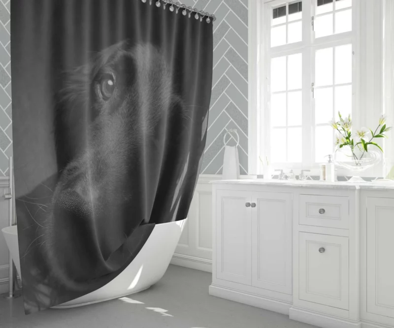 Dog Muzzle in Shadow Canine Persona Shower Curtain 1