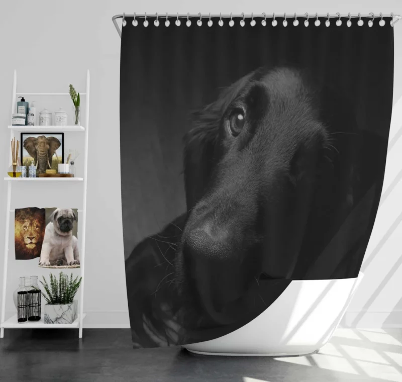 Dog Muzzle in Shadow Canine Persona Shower Curtain