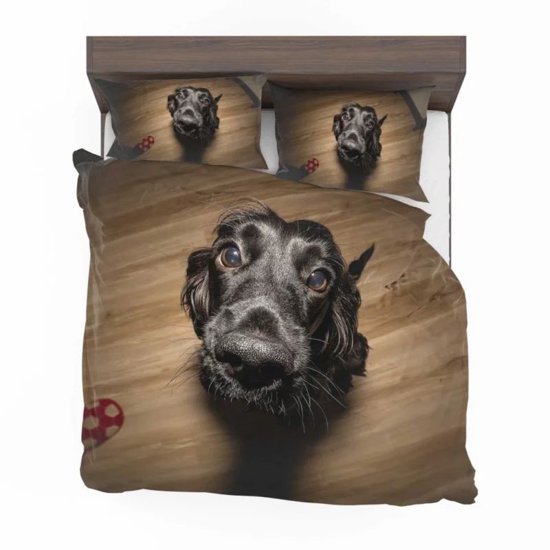 Dog Muzzle in Thought Canine Persona Bedding Set 1