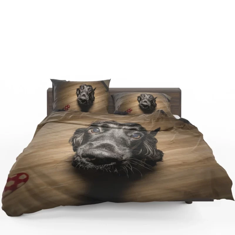 Dog Muzzle in Thought Canine Persona Bedding Set